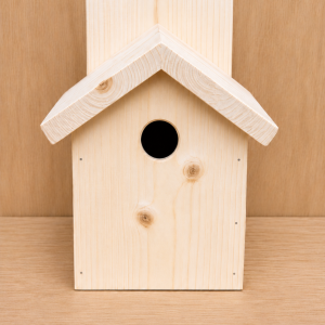 Apex Roof Bird Box
