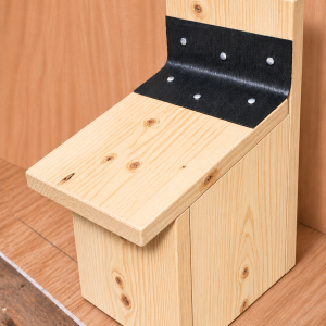 Apex Roof Bird Box